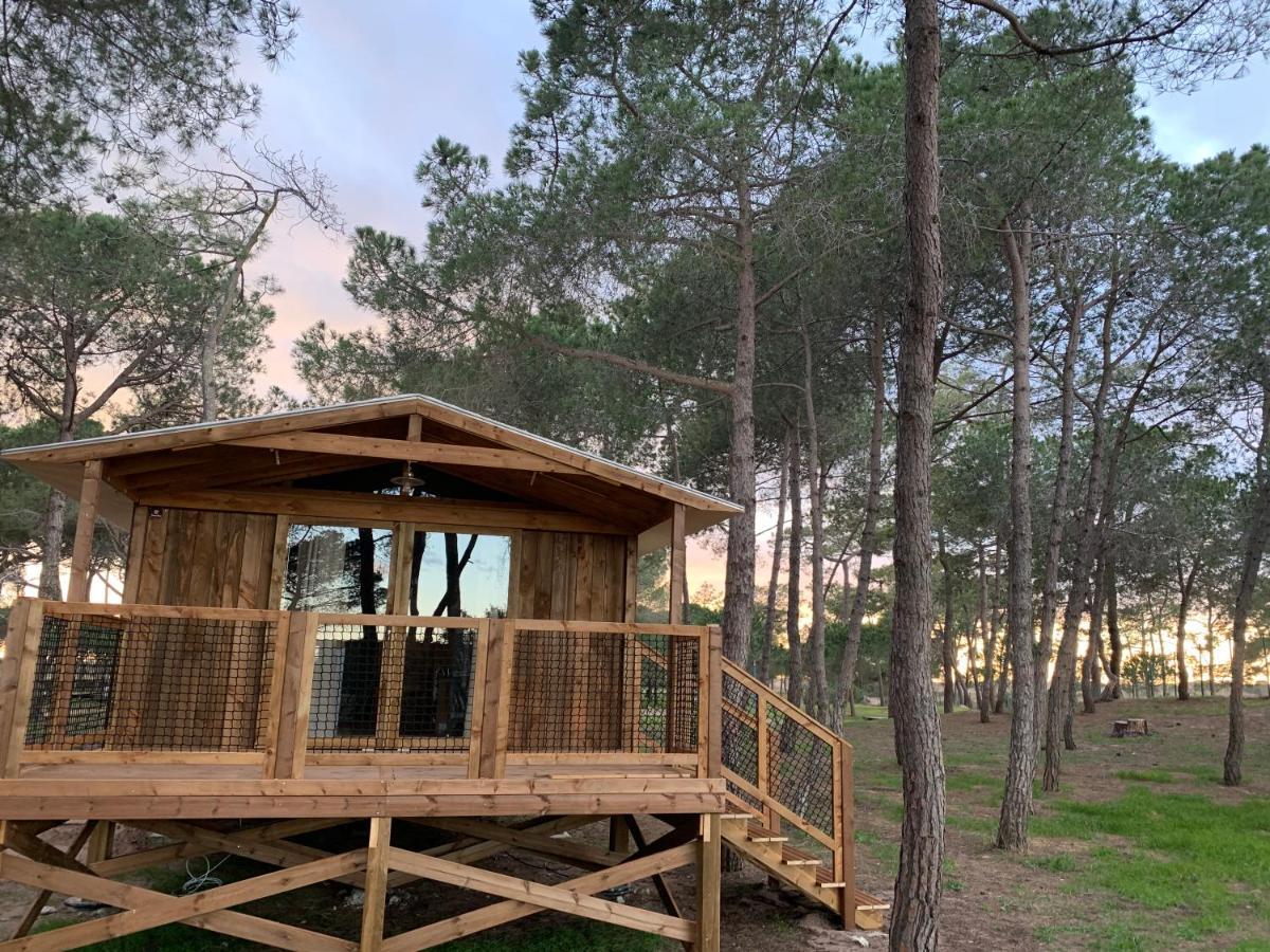 Camping La Tamarissiere Agde Eksteriør billede