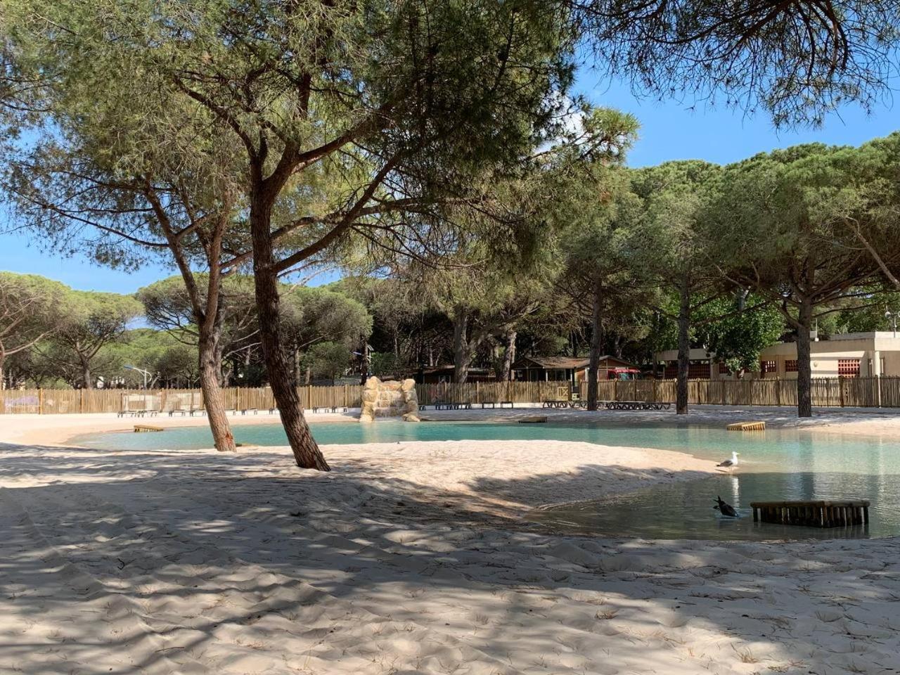 Camping La Tamarissiere Agde Eksteriør billede